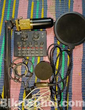Bm800 microphone with v8 sound card